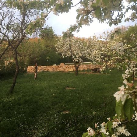 Bell House Villa Bukkzserc Bagian luar foto